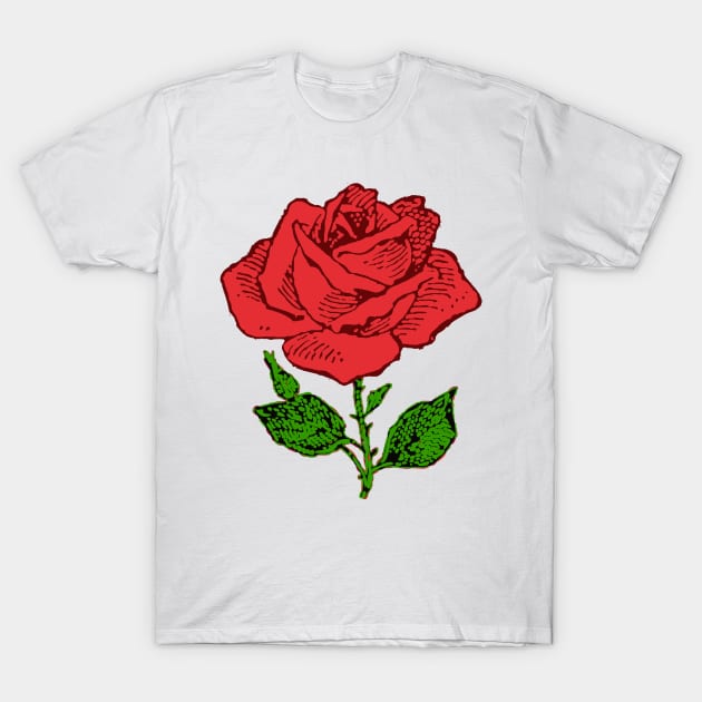 First Saturday in May Giant Red Rose T-Shirt by Scarebaby